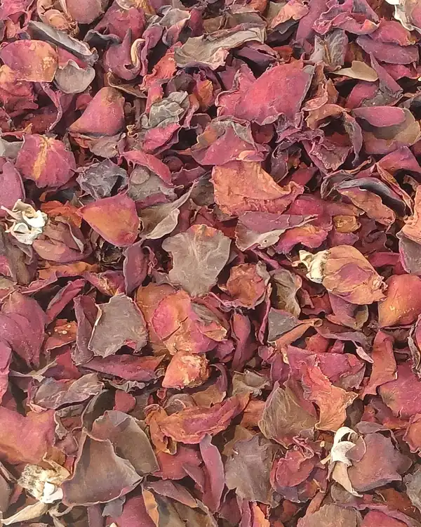 Serum Rosella & Centella — foto 2